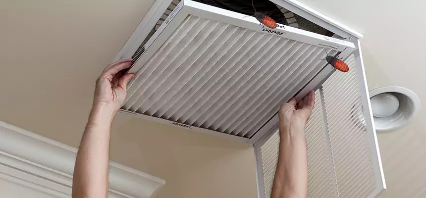 Preventive Cockroach-Proofing for Ducts in Rocklin