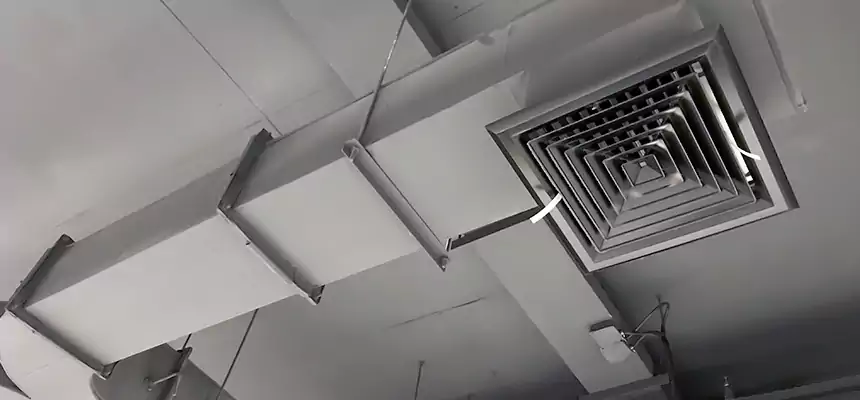 Restorative Allergy Relief Vent Cleaning – Coil, Blower & Housing Detail in Rocklin