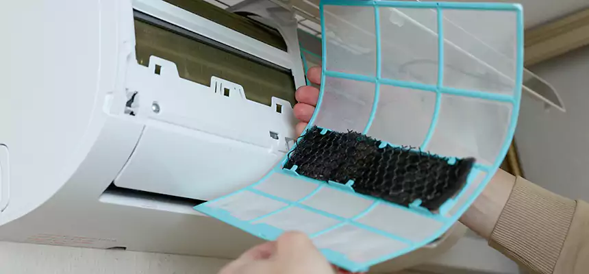 Gentle Ductwork Odor-Control Pet Dander Duct Cleaning in Rocklin, CA