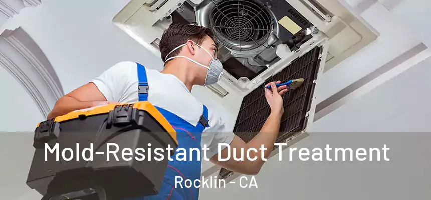  Mold-Resistant Duct Treatment Rocklin - CA
