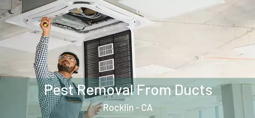 Pest Removal From Ducts Rocklin - CA
