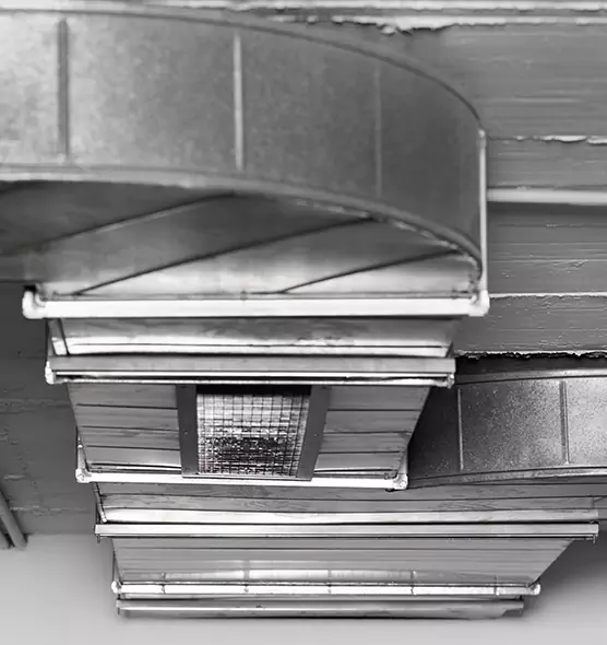 Professional Air Duct Pet Hair Removal in Rocklin, CA