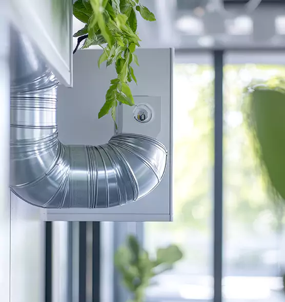 Professional Eco-Safe Dryer Vent Cleaning in Rocklin, CA