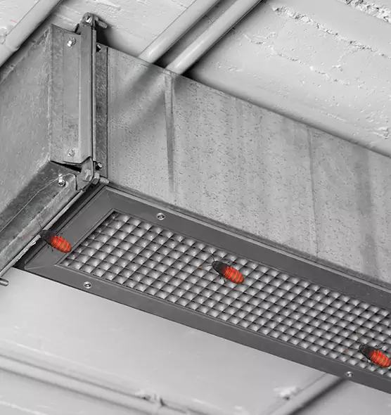 Affordable Insect Removal from Air Ducts in Rocklin, CA
