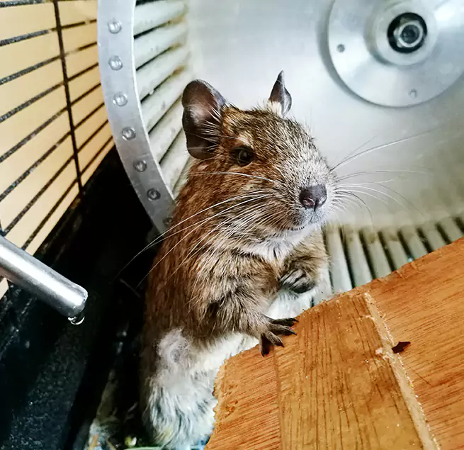 Why Homeowners & Businesses Trust Us Rocklin, CA