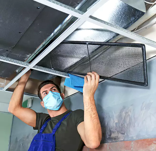 Why Homeowners Businesses Trust Us in Rocklin, CA